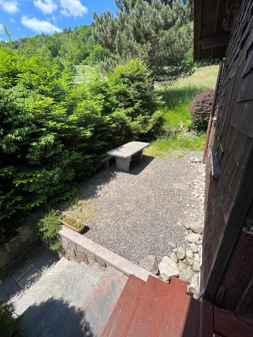 Chalet Bois Vue Panoramique : 2 Logements Et Sauna Bussang Kültér fotó