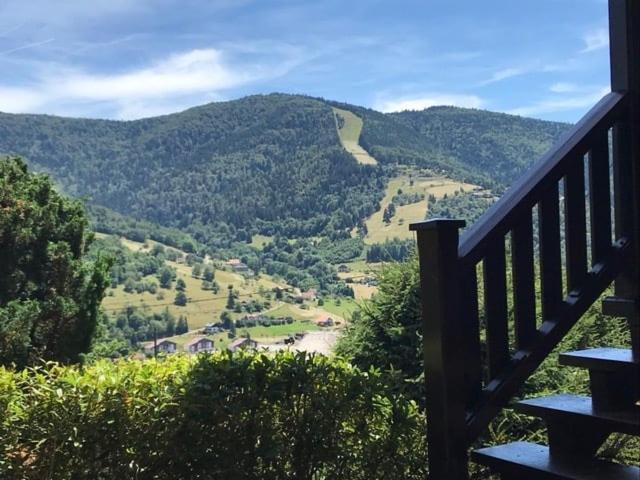 Chalet Bois Vue Panoramique : 2 Logements Et Sauna Bussang Kültér fotó