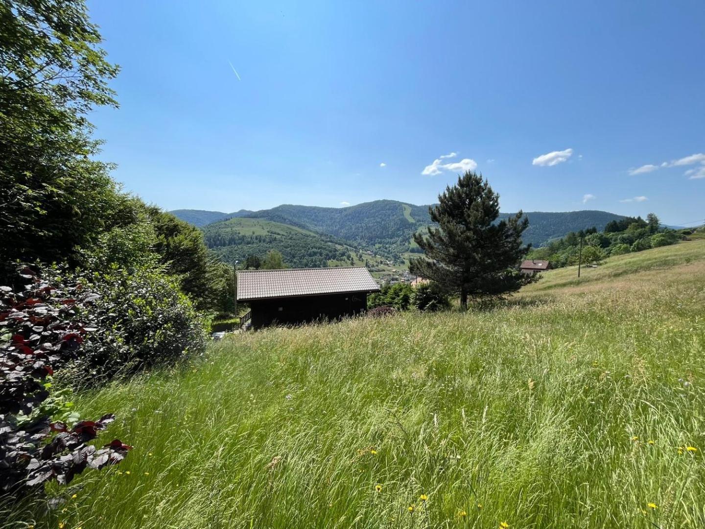 Chalet Bois Vue Panoramique : 2 Logements Et Sauna Bussang Kültér fotó