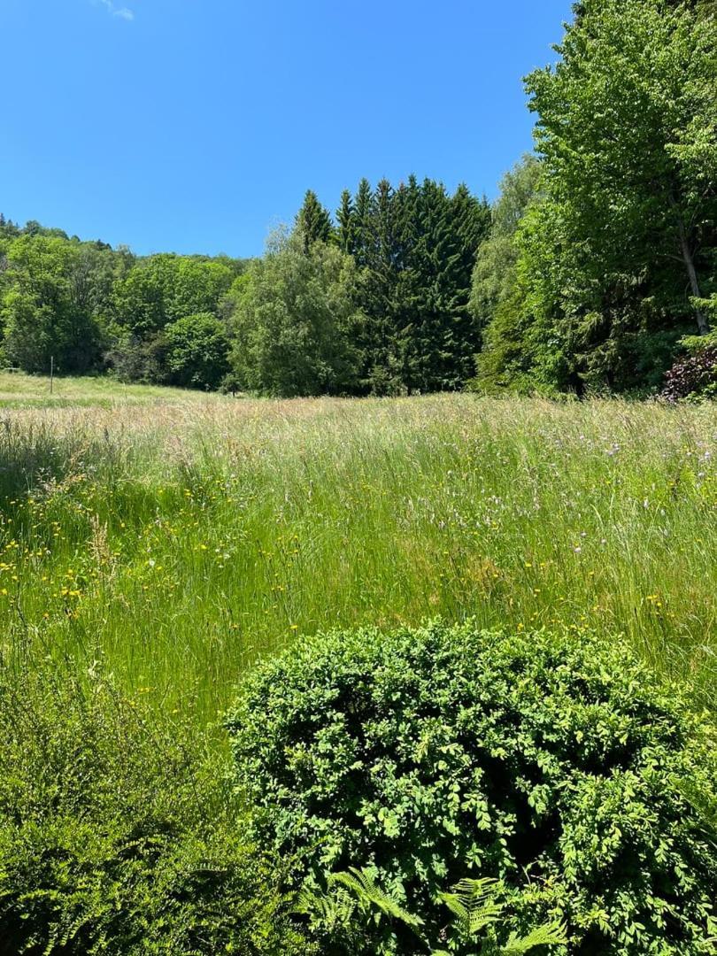 Chalet Bois Vue Panoramique : 2 Logements Et Sauna Bussang Kültér fotó