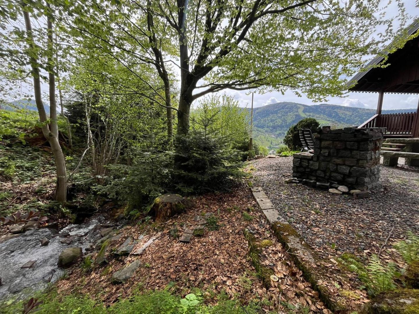 Chalet Bois Vue Panoramique : 2 Logements Et Sauna Bussang Kültér fotó